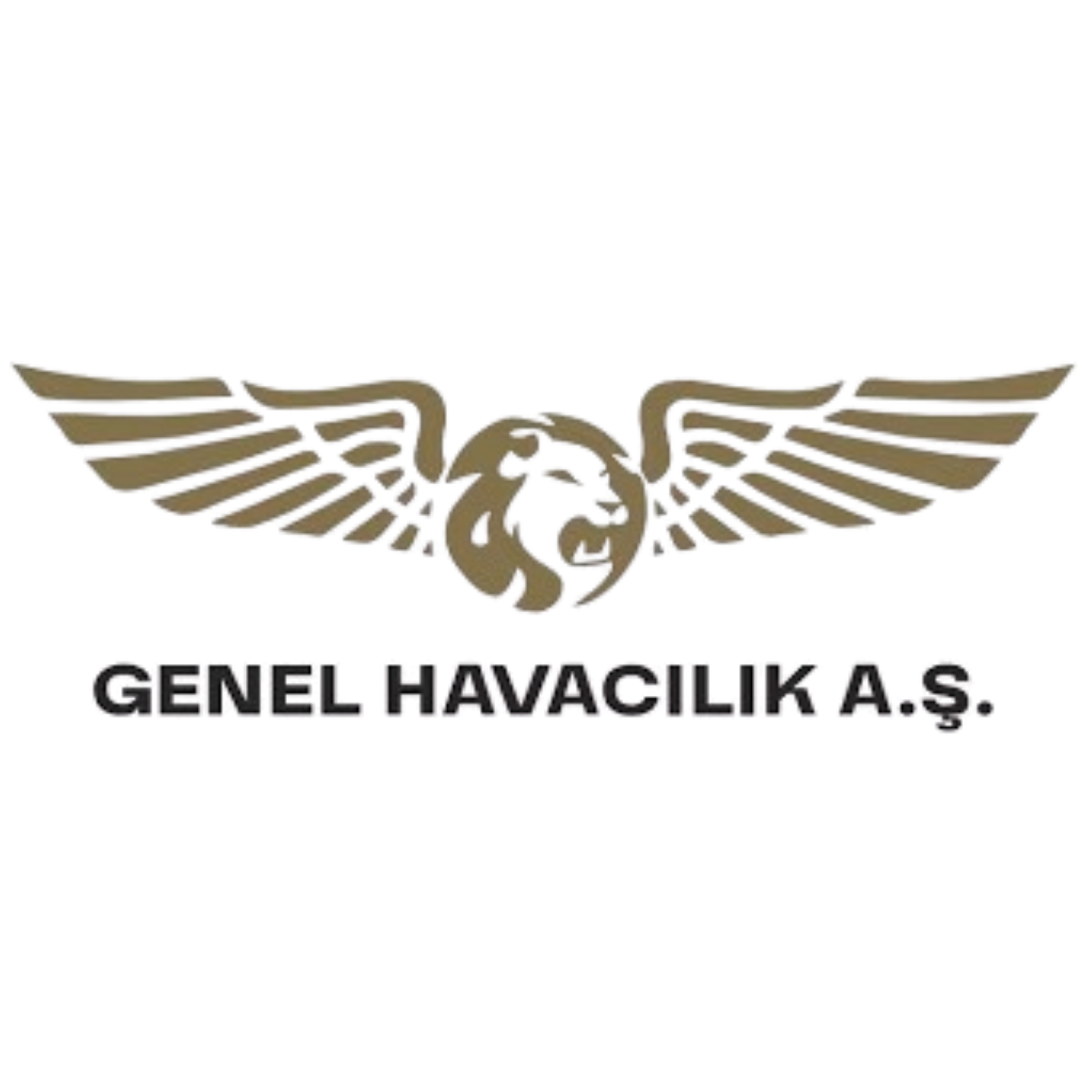 Genel Havacılık